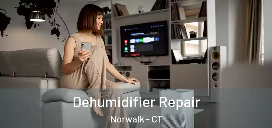  Dehumidifier Repair Norwalk - CT