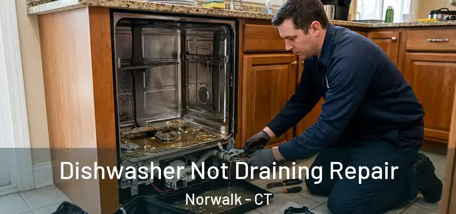  Dishwasher Not Draining Repair Norwalk - CT