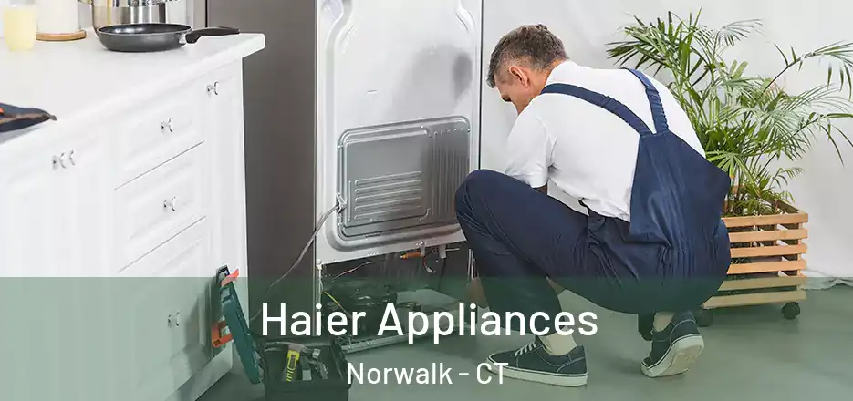  Haier Appliances Norwalk - CT