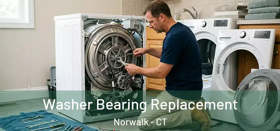  Washer Bearing Replacement Norwalk - CT